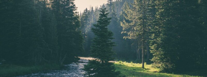 Invest in Land 2025 Invest in Land 2025, MidAmerica Land LLC