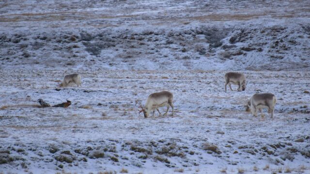 gab-vidal-2AlxlNzzGcE-unsplash