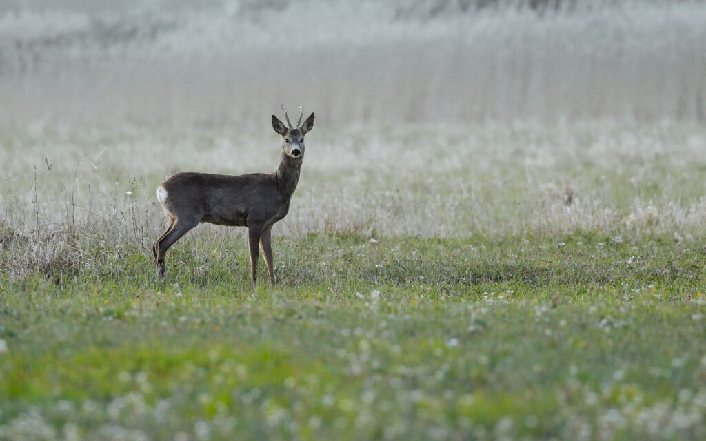 wlodzimierz-jaworski-zCyJFK5qPYQ-unsplash