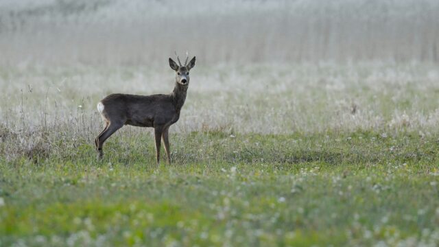 wlodzimierz-jaworski-zCyJFK5qPYQ-unsplash