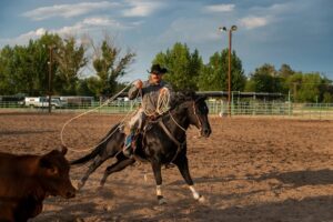Cowboy in Elko County, Nevada roping a calf